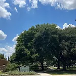 Downtown Dallas Luxe Escape 1 Bd 1 Ba